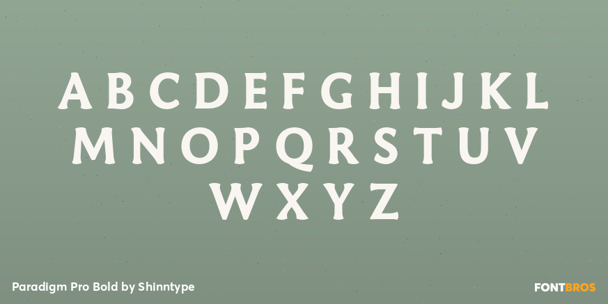 Paradigm Pro Bold Font Poster #2