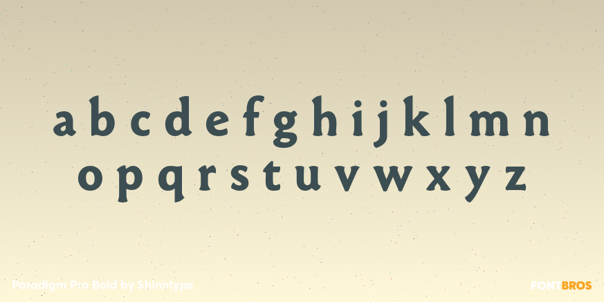 Paradigm Pro Bold Font Poster #3