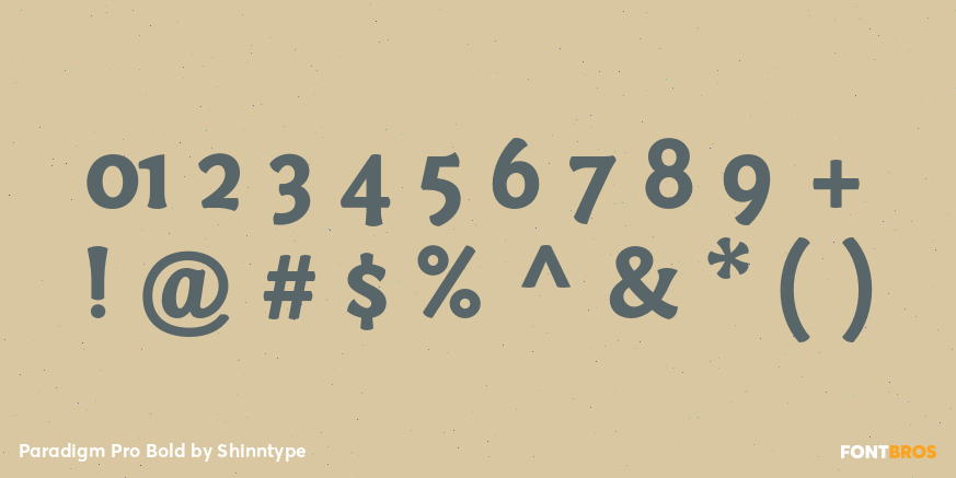 Paradigm Pro Bold Font Poster #4