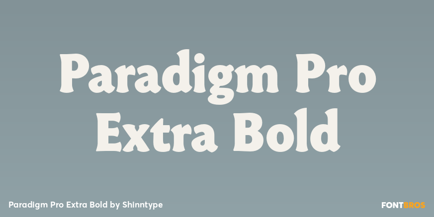 Paradigm Pro Extra Bold Font Poster #1