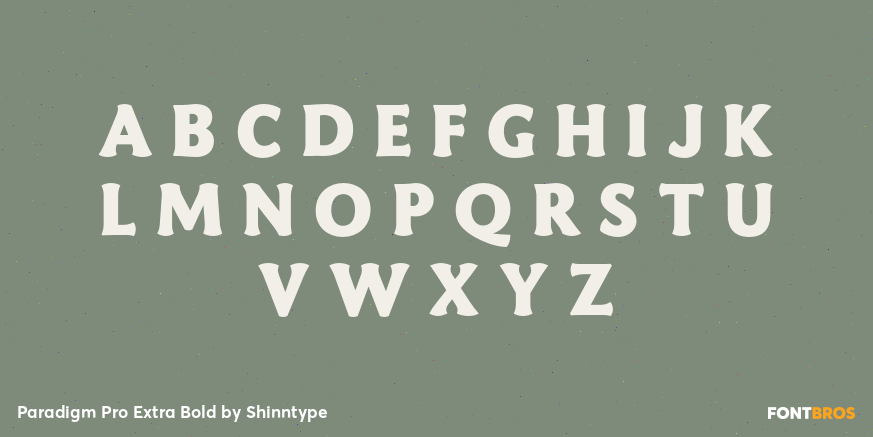 Paradigm Pro Extra Bold Font Poster #2