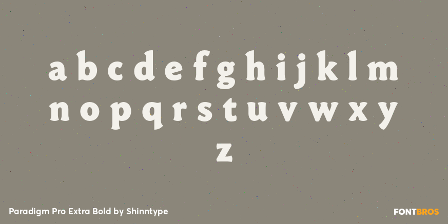 Paradigm Pro Extra Bold Font Poster #3