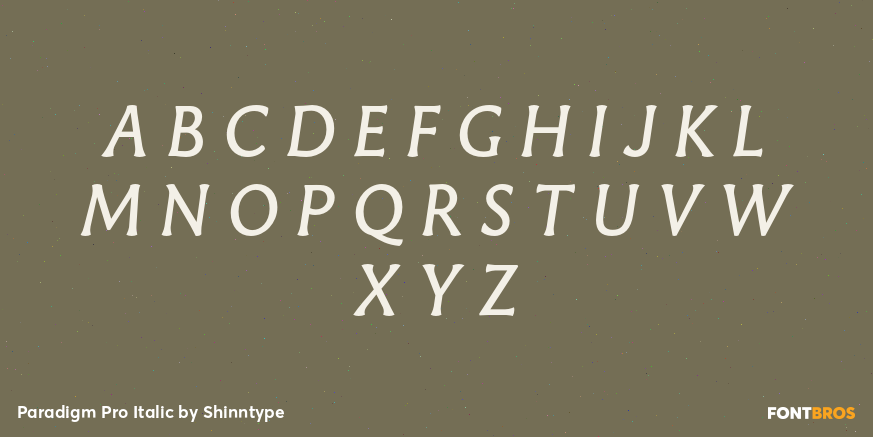 Paradigm Pro Italic Font Poster #2