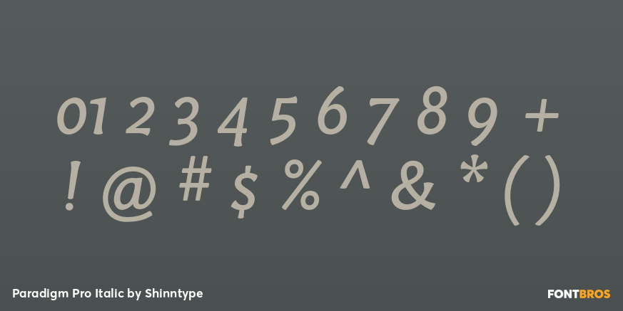 Paradigm Pro Italic Font Poster #4