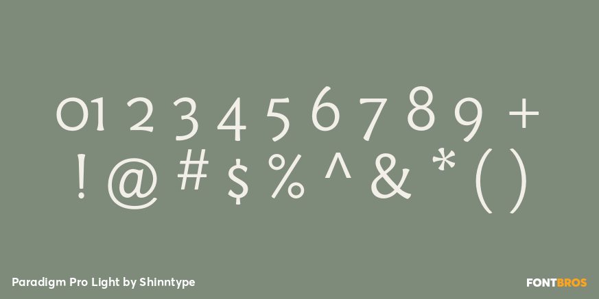Paradigm Pro Light Font Poster #1