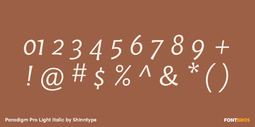 Paradigm Pro Light Italic Font Poster #1