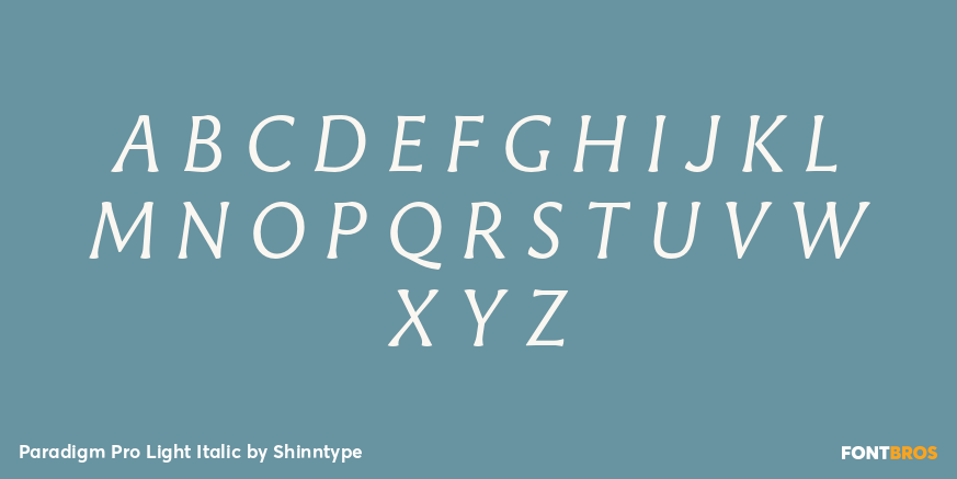 Paradigm Pro Light Italic Font Poster #1