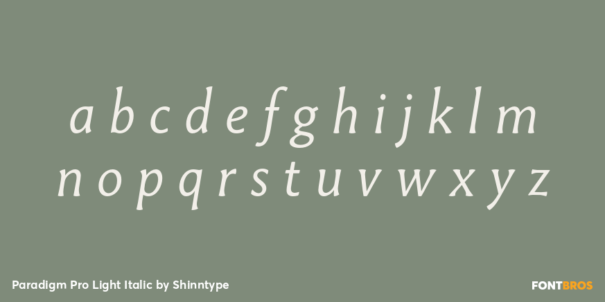 Paradigm Pro Light Italic Font Poster #1
