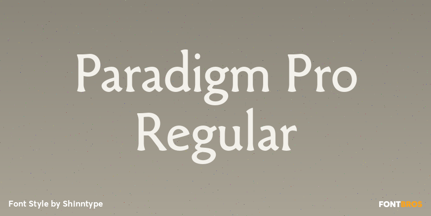 Paradigm Pro Regular Poster