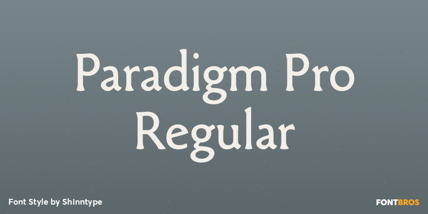 Paradigm Pro Regular Poster