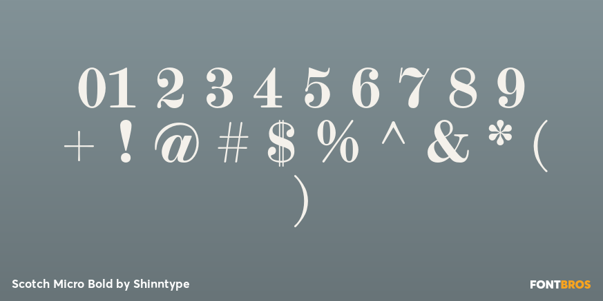 Scotch Micro Bold Font Poster #1
