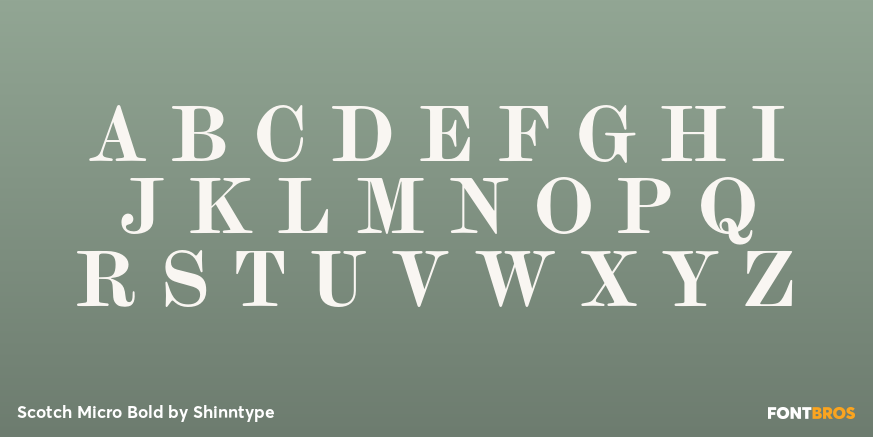 Scotch Micro Bold Font Poster #1