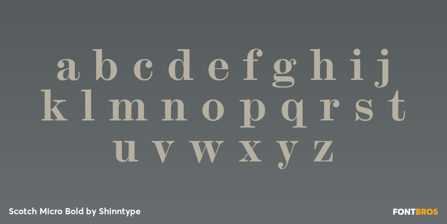 Scotch Micro Bold Font Poster #1