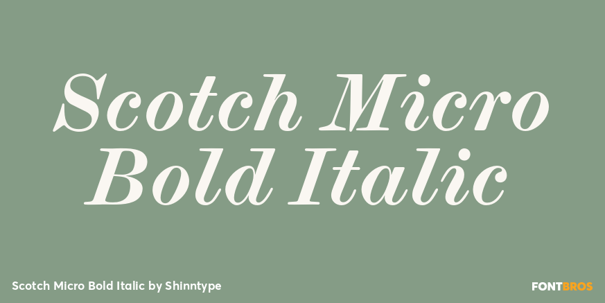 Scotch Micro Bold Italic Font Poster #1