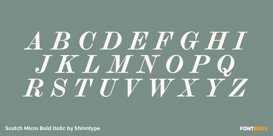 Scotch Micro Bold Italic Font Poster #2