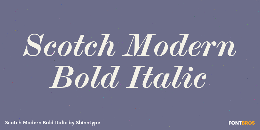Scotch Modern Bold Italic Font Poster #1