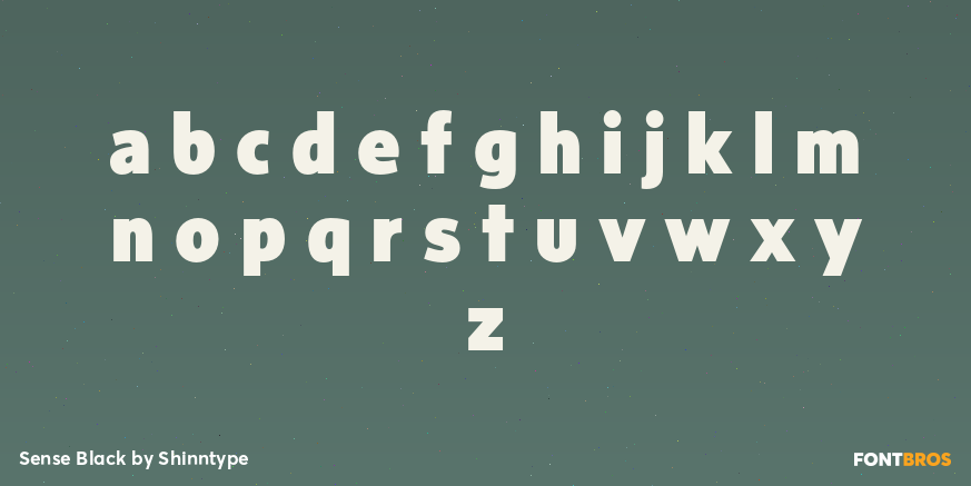 Sense Black Font Poster #3