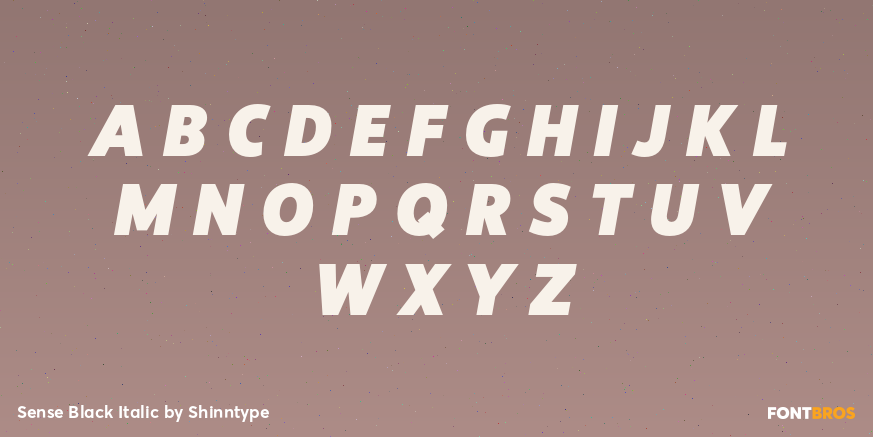 Sense Black Italic Font Poster #2