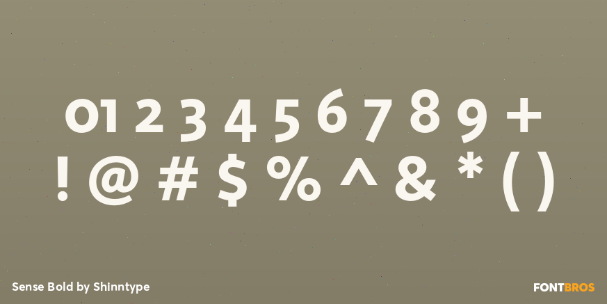 Sense Bold Font Poster #4