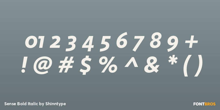 Sense Bold Italic Font Poster #1