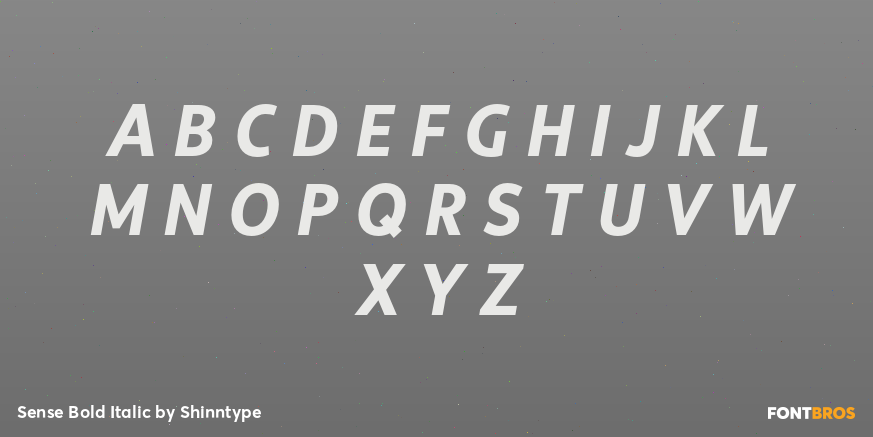 Sense Bold Italic Font Poster #2