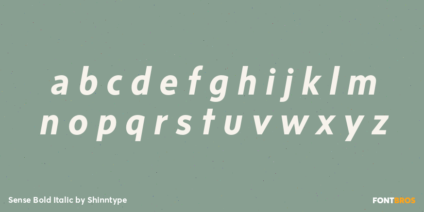 Sense Bold Italic Font Poster #3