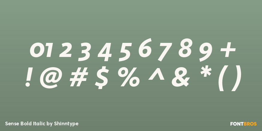 Sense Bold Italic Font Poster #4
