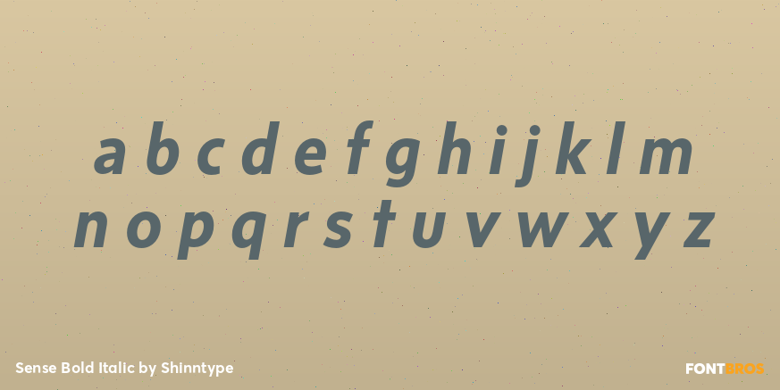 Sense Bold Italic Font Poster #1