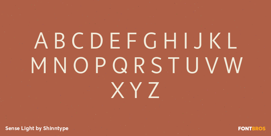 Sense Light Font Poster #2