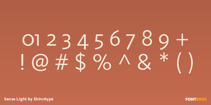 Sense Light Font Poster #4