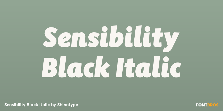 Sensibility Black Italic Font Poster #1