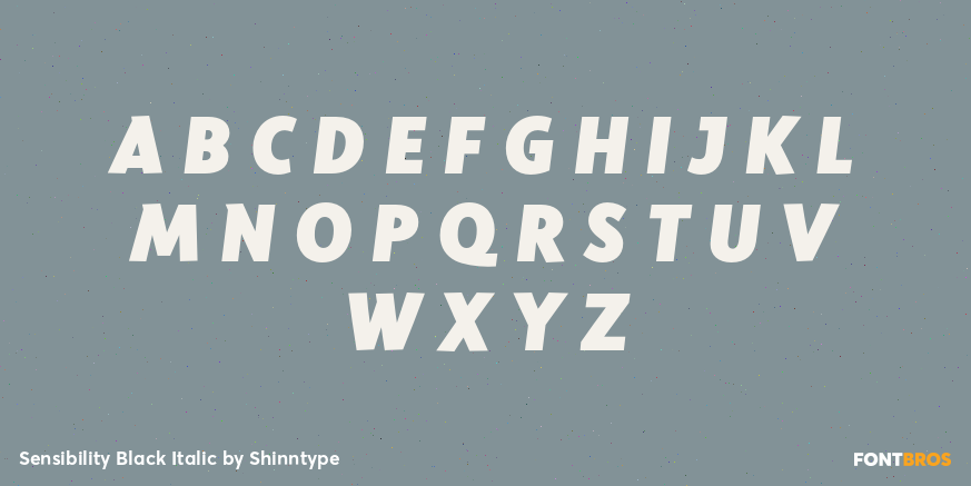 Sensibility Black Italic Font Poster #2