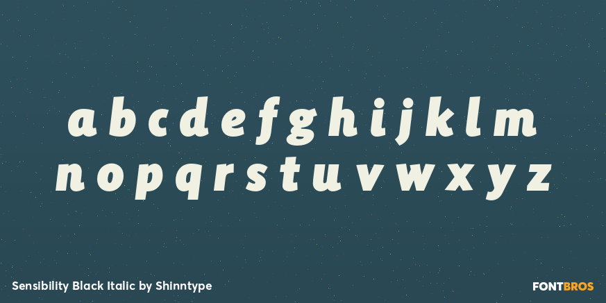 Sensibility Black Italic Font Poster #3