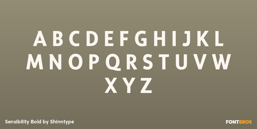 Sensibility Bold Font Poster #2