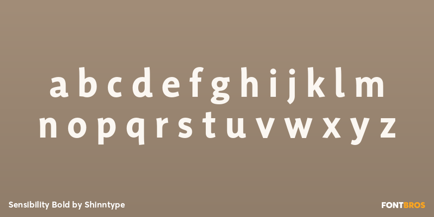 Sensibility Bold Font Poster #3