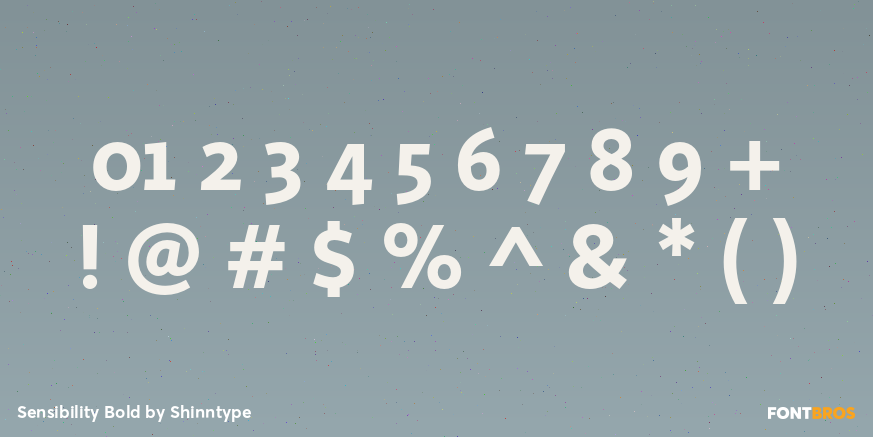 Sensibility Bold Font Poster #4