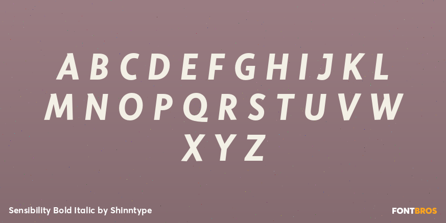 Sensibility Bold Italic Font Poster #2