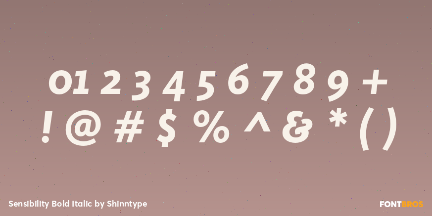 Sensibility Bold Italic Font Poster #4