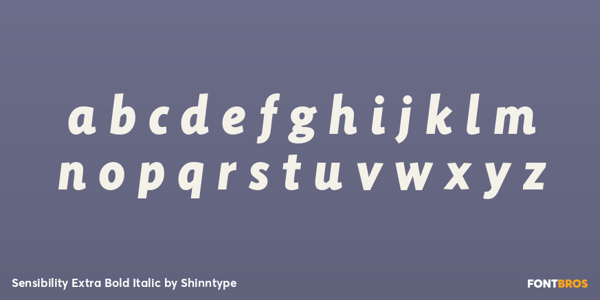 Sensibility Extra Bold Italic Font Poster #3