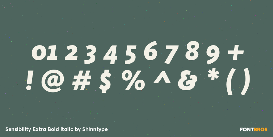 Sensibility Extra Bold Italic Font Poster #4