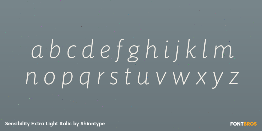 Sensibility Extra Light Italic Font Poster #3