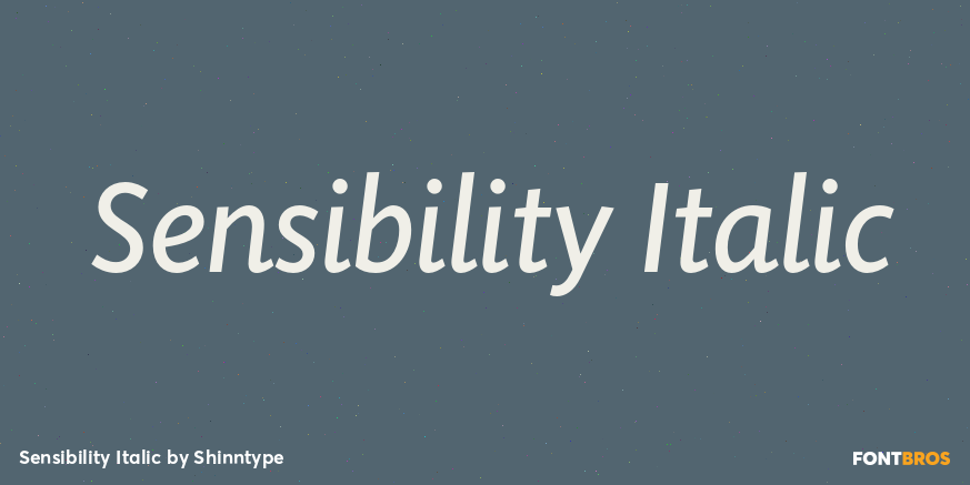 Sensibility Italic Font Poster #1