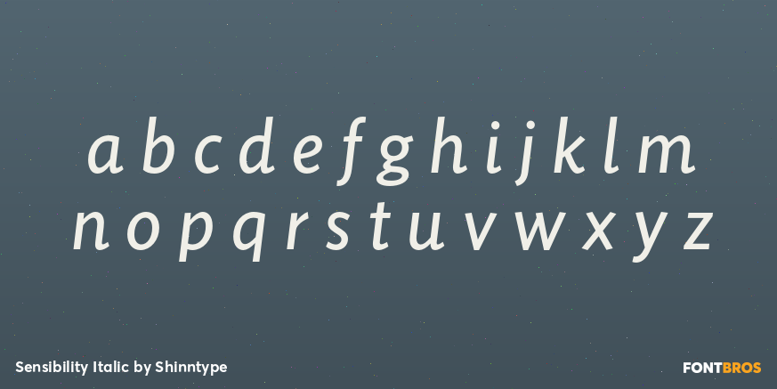 Sensibility Italic Font Poster #3