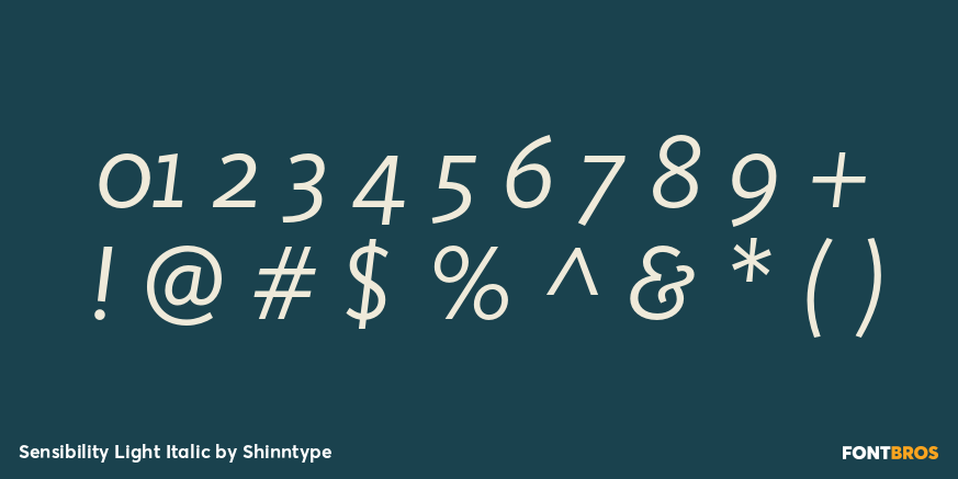 Sensibility Light Italic Font Poster #4