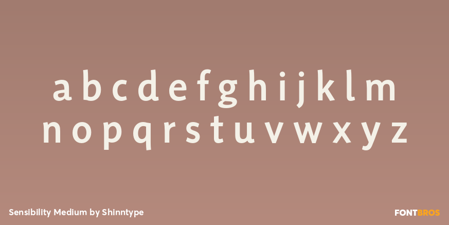 Sensibility Medium Font Poster #3