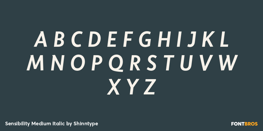 Sensibility Medium Italic Font Poster #2