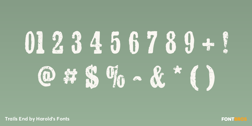 Trails End Font Poster #4