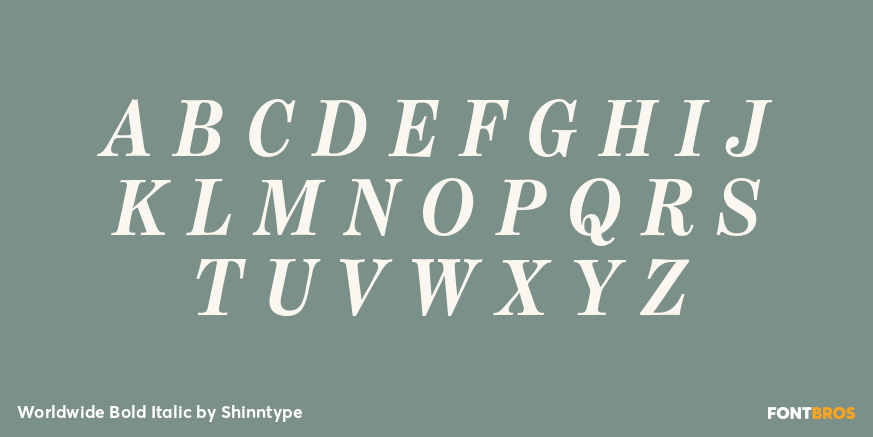 Worldwide Bold Italic Font Poster #2