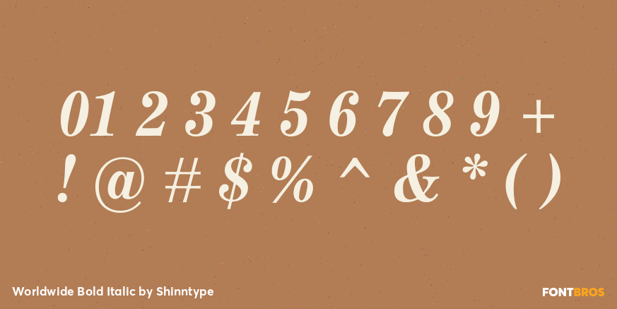 Worldwide Bold Italic Font Poster #4