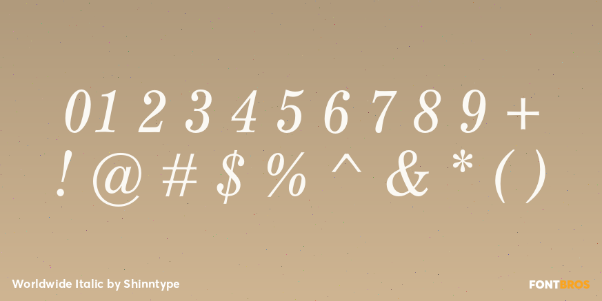 Worldwide Italic Font Poster #4